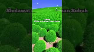 Download lagu Sholawat Tarhim Viral di Tiktok mp3 Download lagu Sholawat Tarhim Viral di Tiktok mp3