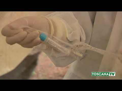 2020-05-28 PRATO - COVID19, ZERO CONTAGIATI MA UN DECESSO