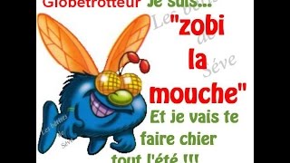 Zobi La Mouche  Les Negresses Vertes