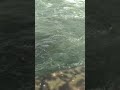 Ponni Nadhi Kallanai Dam Kallanai Ponniyinselvan Shorts Shortsfeed