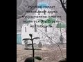 A Russian Soldier Covers A Colleague During Namaz Prayer