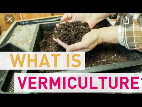 Gardening Lesson 4 Composting, Vermicomposting, and Germination