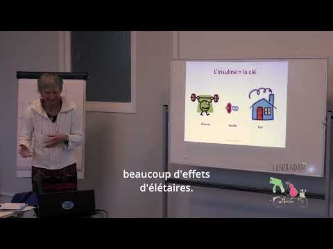 gestion du sucre Marino