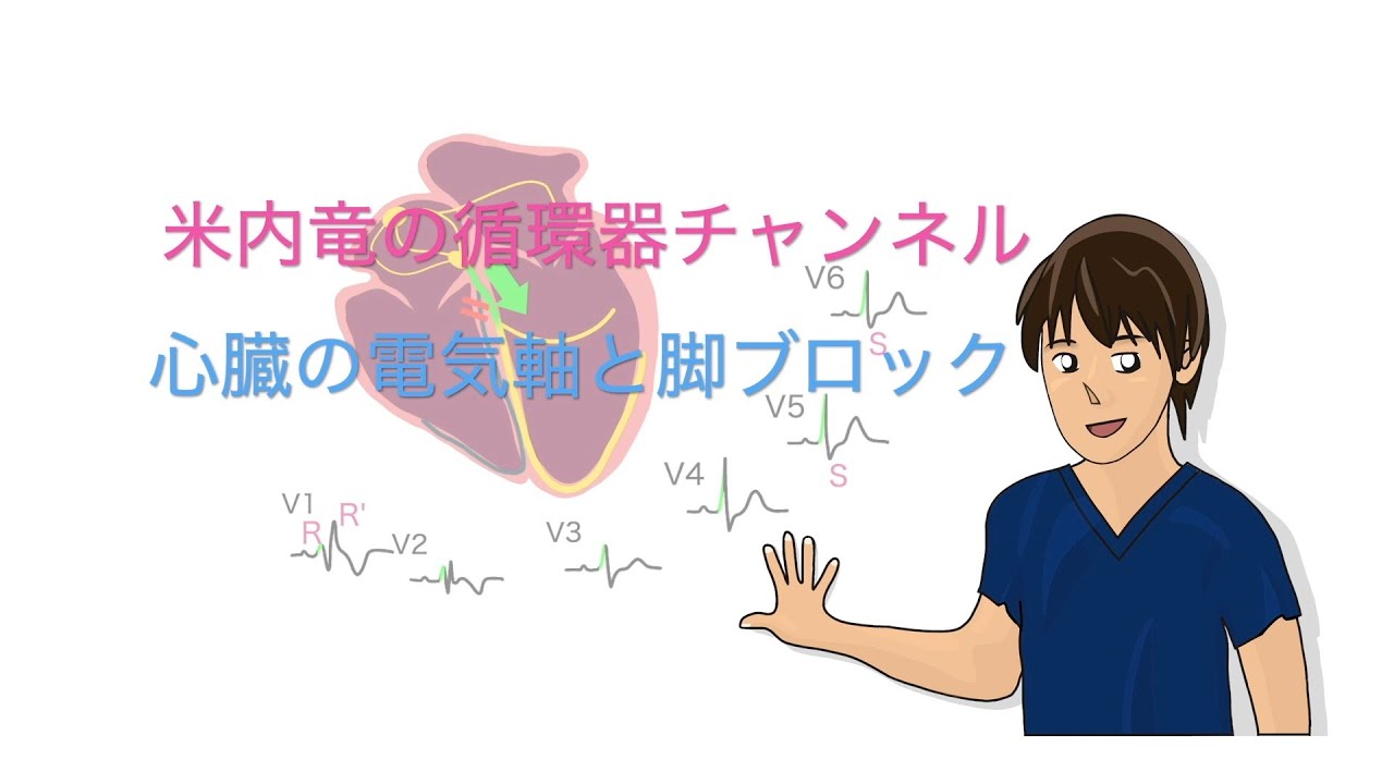 05.循環器チャンネル - 心電図編 - 心臓の電気軸と脚ブロック