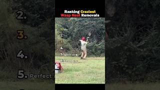Ranking Craziest Wasp Nest Removals