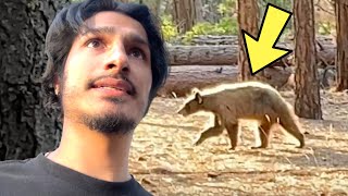 FIRST TIME CAMPING AND WE SEE A BEAR 🐻 (2/3)