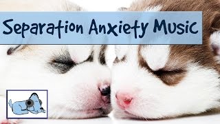 Improve Separation Anxiety with Music! Dog Music, Music for Dogs, Relaxing Music for Animals!