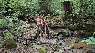 Download lagu Aku Menemukan ular piton raksasa di hutan sulawesi | Eps.9 paman bara  mp3