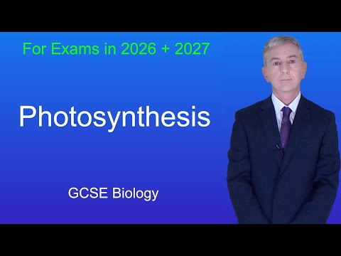 GCSE Biology Revision "Photosynthesis"