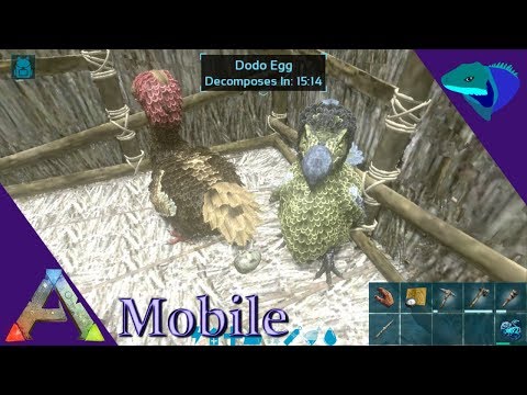 HOW TO HATCH DINO EGGS! BREEDING, TAMING, TIPS! Ark: Mobile Beginner's Guide Episode 3
