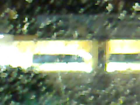 disastro a Porto San Giorgio