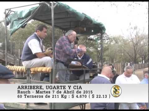 Arribere, Ugarte y Cía. S.R.L. - Rauch - Venta Machos - 07/04/2015