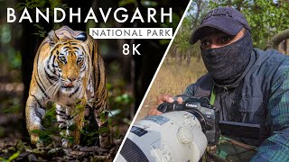 Wildlife Photography in Bandhavgarh National Park | TIGER COUNTRY Ep. 4 - A Royal Bloodline