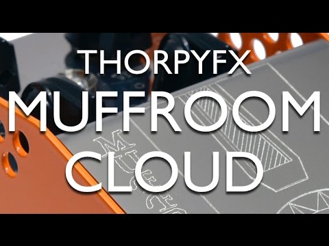 Thorpy FX Fallout Cloud Fuzz image 2