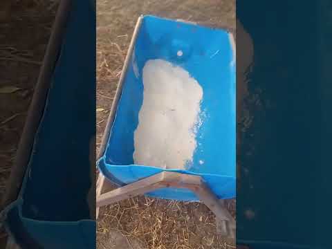 Reforma do Cocho de Sal Mineral no Sítio Juncal em Apodi - RN