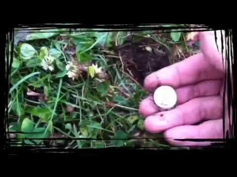 105th hunt 2012 ( buffalo nickel & bus token ) library park,fairbanks alaska