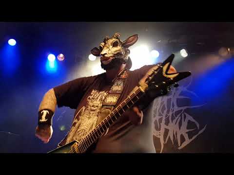 Milking The Goatmachine - Milk Me Up Before I Go Go - Live @ Juz Andernach 09.02.2019