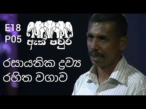 ATH PAVURA - [ E18 - P5] Organic fruits & vegetables - Srilal Ranaweera