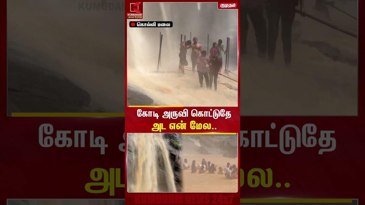 ஆற்பரித்து கொட்டிய அருவியில் ஆபத்தை உணராமல் குளித்த சுற்றுலாப் பயணிகள்.. | Kollimalai | Kumudam News