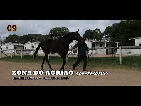 Lote ZONA DO AGRIAO (BRZ)