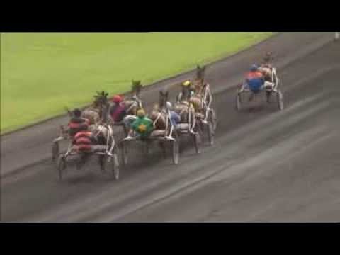 Prix Pierre Plazen 2010 -Timoko