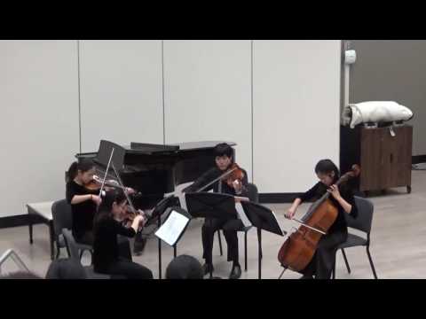 Brahms String Quartet Op. 51 No. 1 (Allegro)