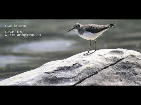 Horton - We Are Imperfect Beings