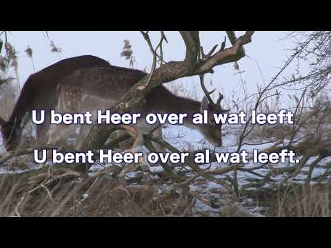 Opwekking 669 Adonai