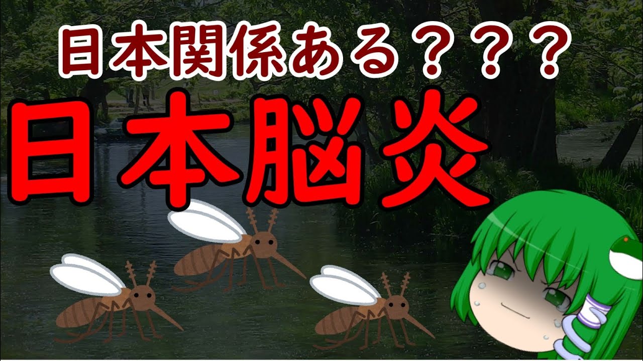 【ゆっくり解説】日本関係あるの！？　感染症解説　『日本脳炎』
