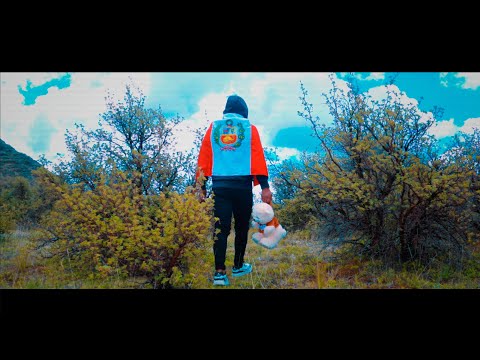 Alan Walker Style - AMAZONAS | Yauri Music Remix 2024