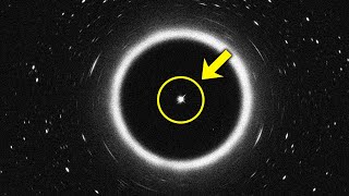 Scientists JUST Found A Black Hole Star That Changes EVERYTHING!