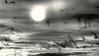 Mother Nature's Son Music Video