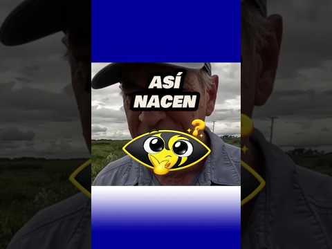 Aquí nace uno de los ríos más importantes de Corrientes, el Empedrado