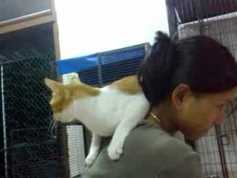 Sadhu wishes for a good home