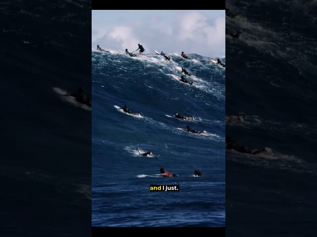 Vídeo relacionado con Harry Rips Australia: Harry the Bear Goes Down Under on a Surf Safari