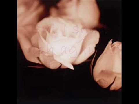 I'm Walking Behind You