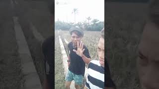 Download lagu waduh...Ari..sih AA te kunaon nyusrukk kitu di sawah ππ€£ mp3 Download lagu waduh...Ari..sih AA te kunaon nyusrukk kitu di sawah ππ€£ mp3