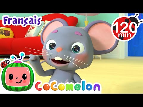 Ce n’est pas la faute de Georges | Chansons pour Bébés | CoComelon Le coin des Animaux de JJ