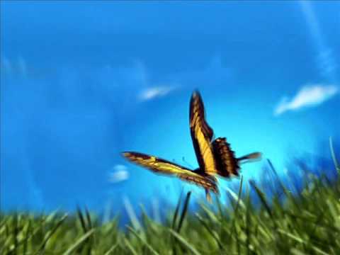 Bin Fackeen - Butterfly Effect (Daiquiri Remix)