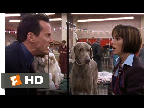 Best in Show (6/11) Movie CLIP - Busy Bee (2000) HD