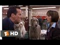 Best In Show 6 11 Movie CLIP Busy Bee 2000 HD