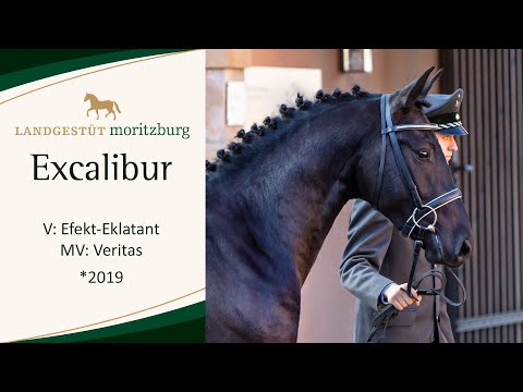 EXCALIBUR v. Effekt-Eklatant - Veritas