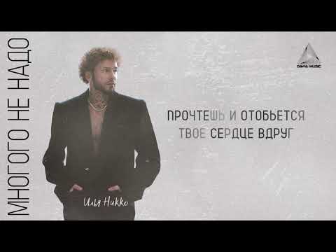 Илья Никко -  Многого не надо (Lyrics Video)