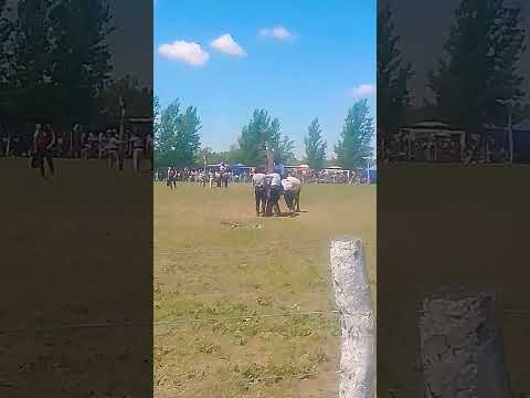 47° fiesta de la tradición buena esperanza San Luis