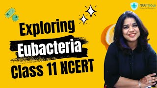 Eubacteria explained | Class 11 NCERT Biology