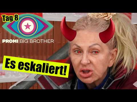 DESIREE NICK ESKALIERT! | Promi Big Brother 2025 Tag 8
