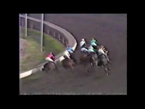 Flying Rook 1989 Salem