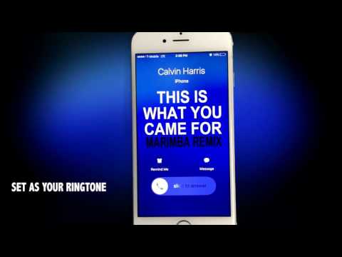 This Is What You Came For Video