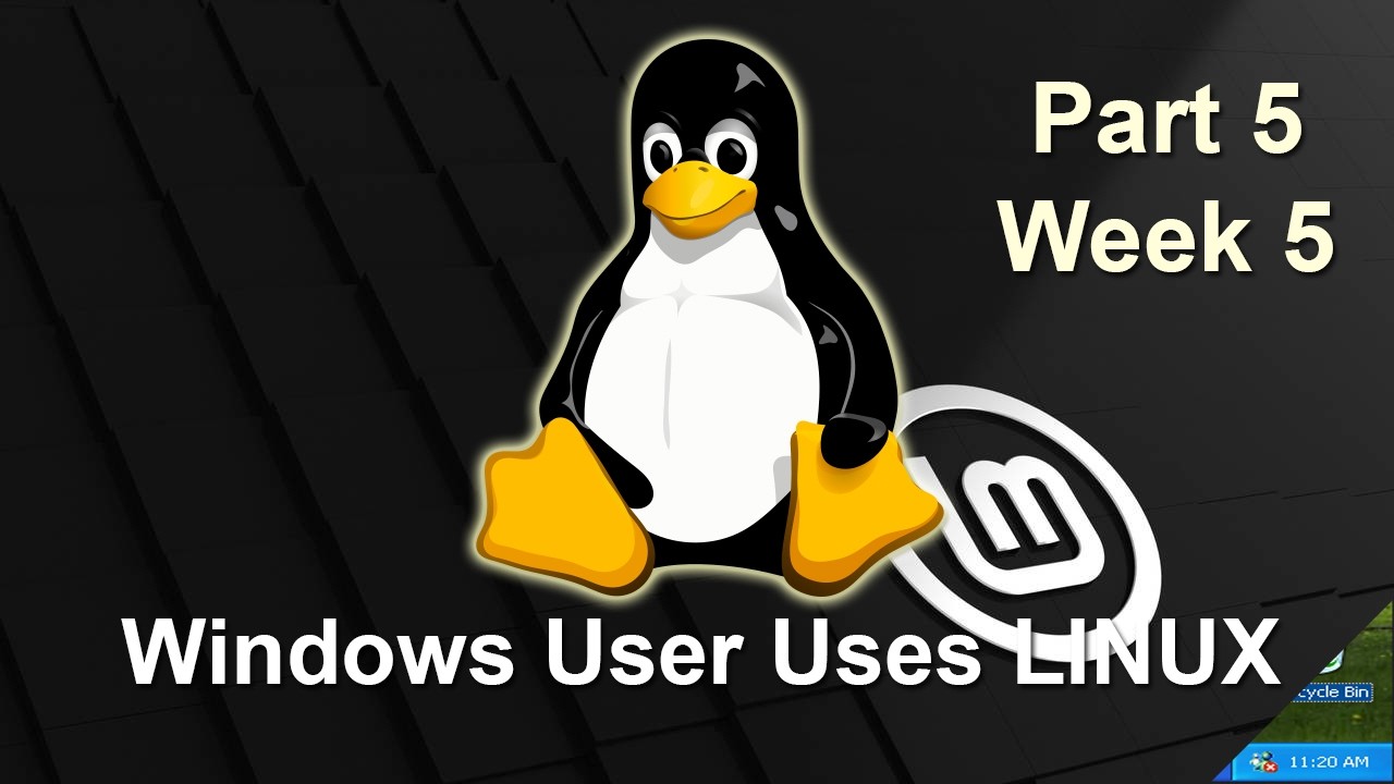 Windows Programmer Developing for LINUX?! - Windows User Tries Linux for 5 weeks!