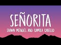 Shawn Mendes, Camila Cabello - Señorita (Lyrics)